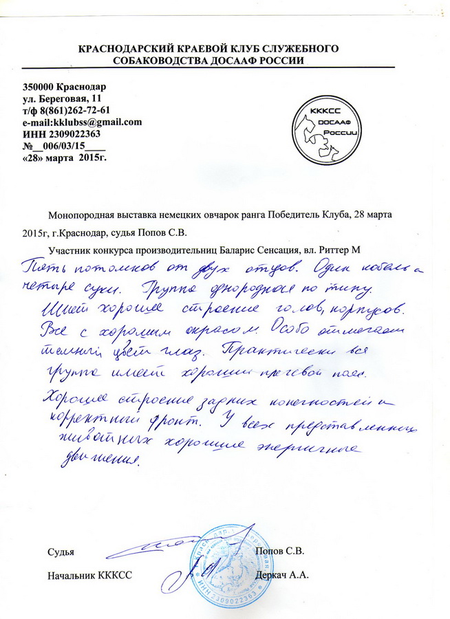 Описание группы потомков Сенсации на выставке ранга Победитель Клуба в Краснодаре 28 марта 2015 года