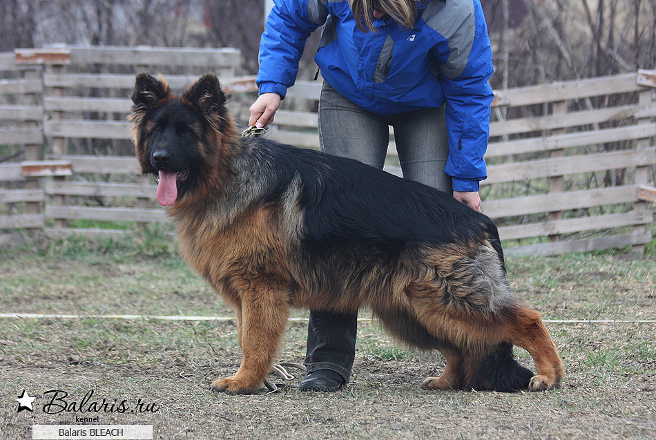 7 месяцев