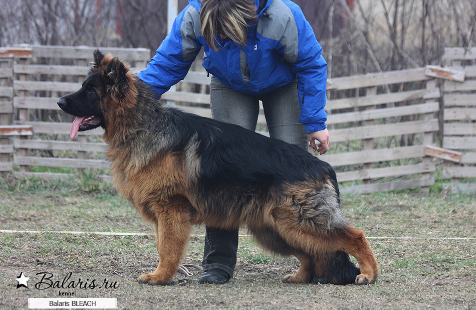 7 месяцев