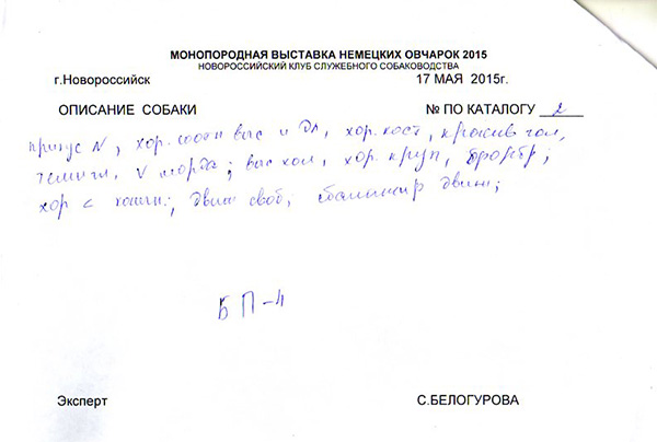 Первое описание с выставки, эксперт С.Белогурова.