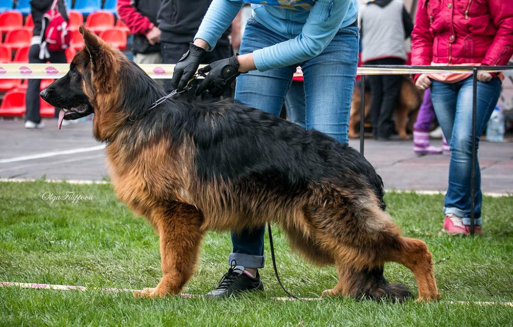 10 месяцев