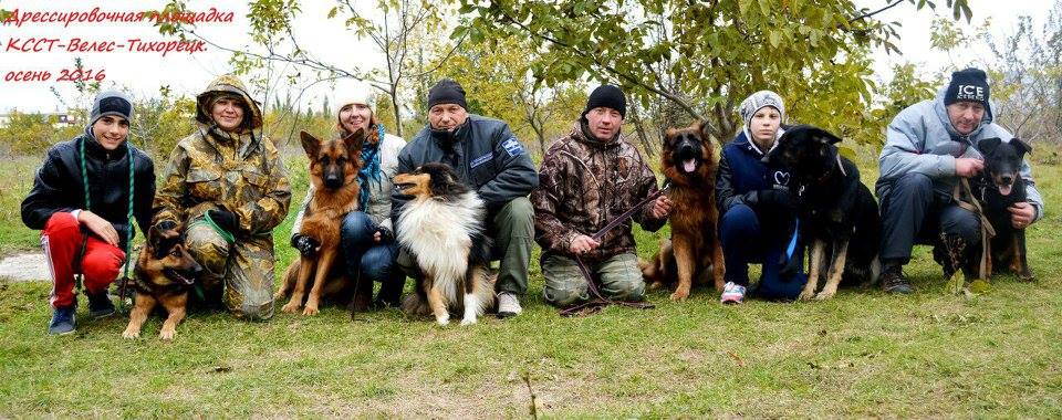 В группе на дрессплощадке =Велес=.
