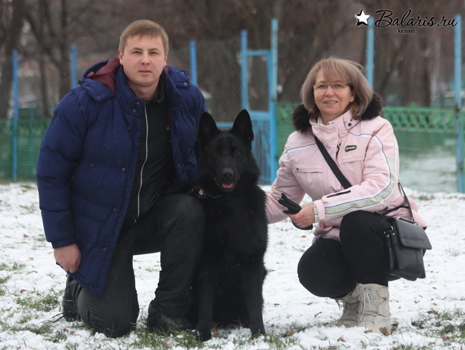 Победитель класса юниоров, JCAC на выставке ранга Чемпион РКФ под экспертизой Галиаскаровой, Краснодар, декабрь 2016