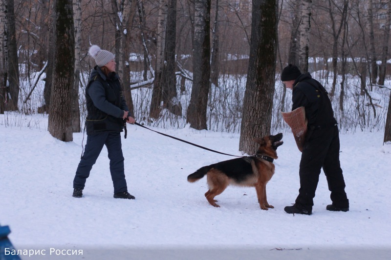 Занимаемся!