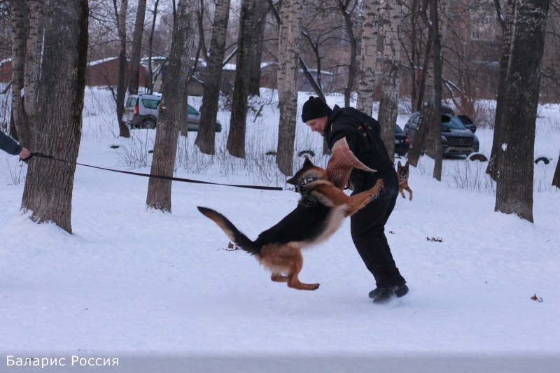 Занимаемся!