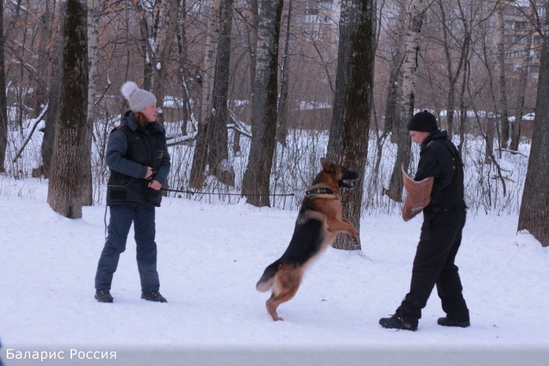 Занимаемся!