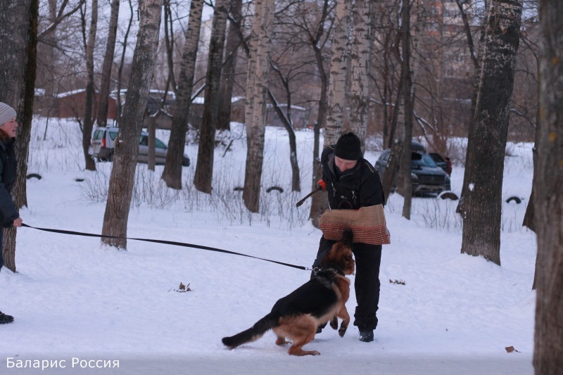 Занимаемся!