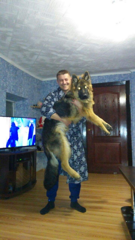 Семь месяцев.