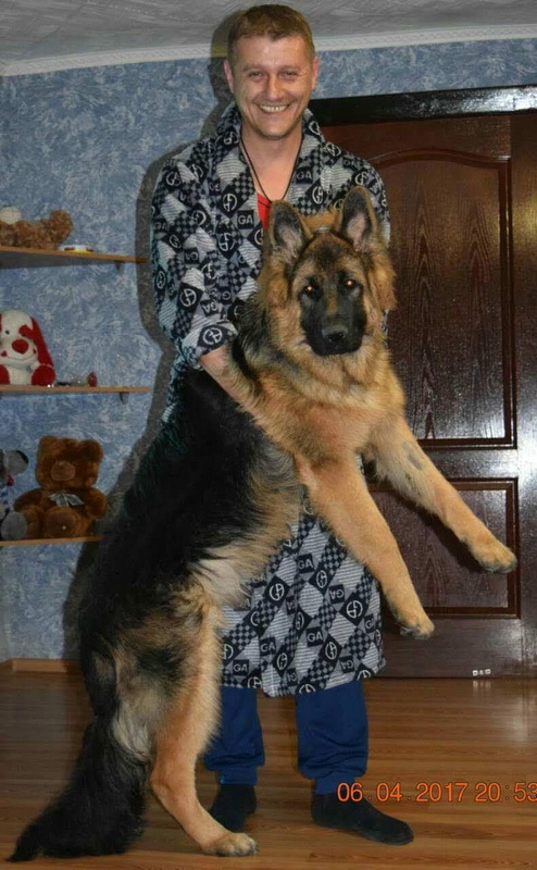 Семь месяцев.