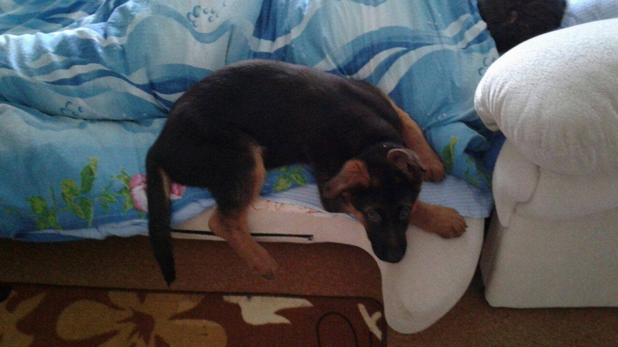 В новом доме.