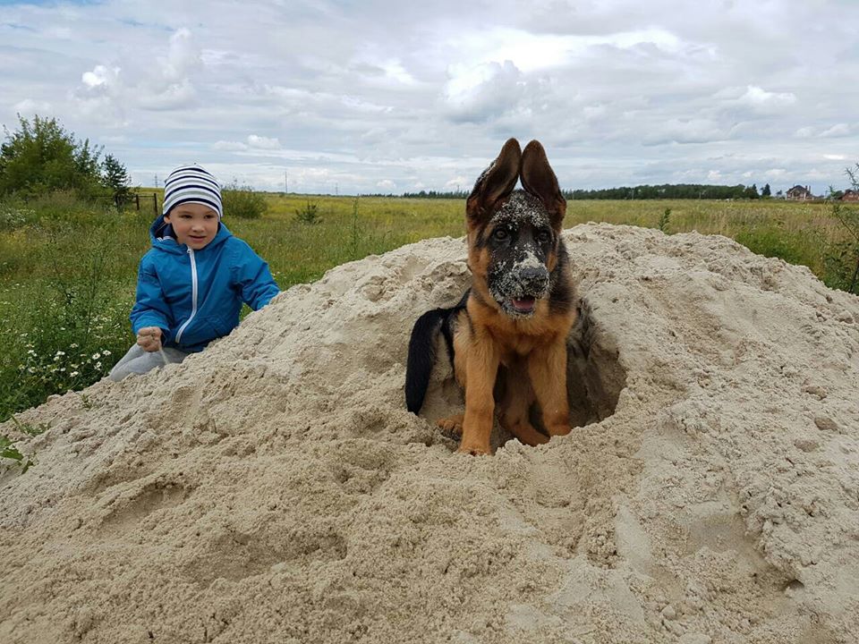Почти четыре месяца