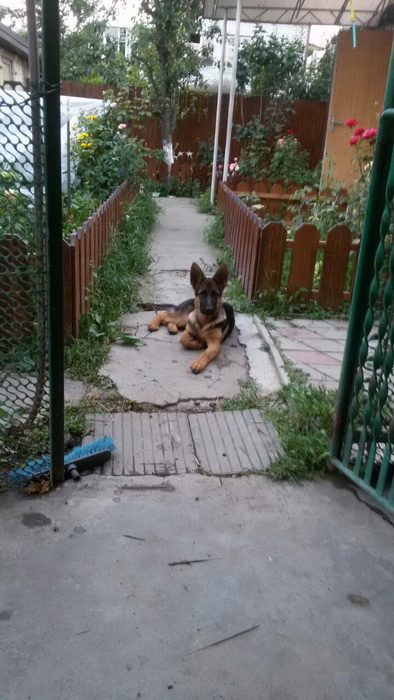 Почти пять месяцев.