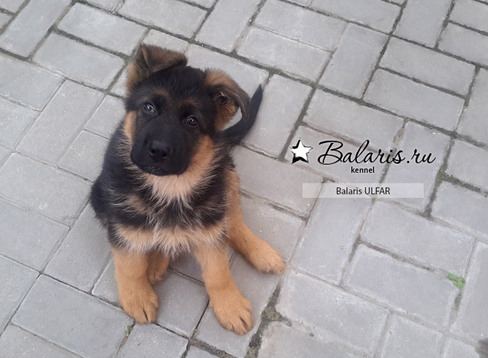 Два месяца, вторая косточка!