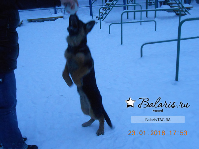 4 месяца