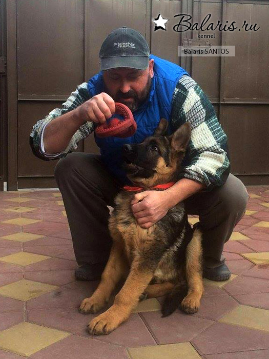 Три с половиной месяца