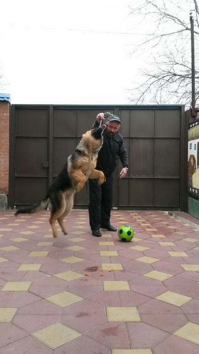 Шесть месяцев