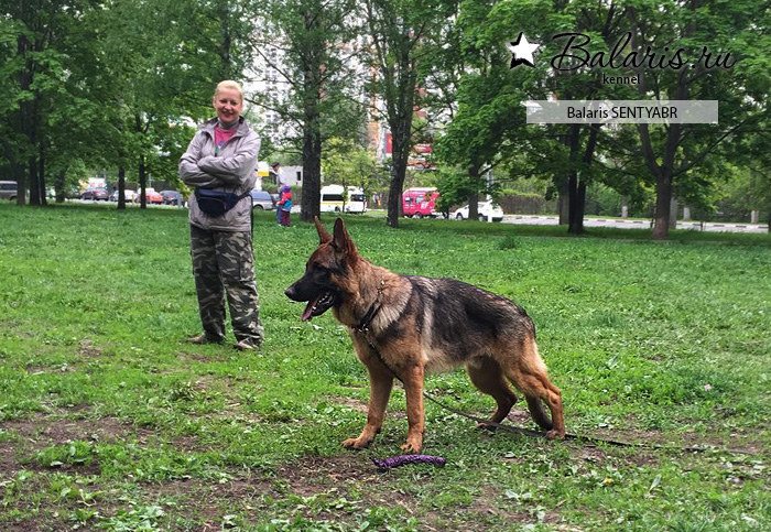 Семь месяцев.