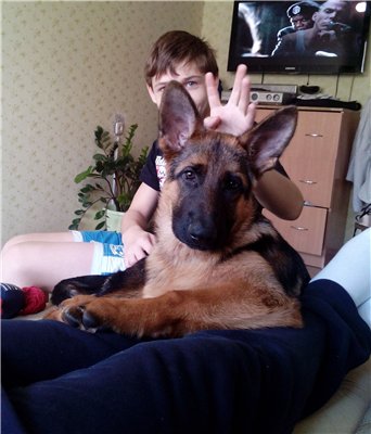 В новом доме