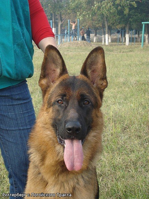 14 месяцев