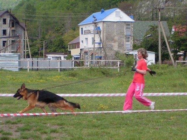 Дресслагерь в Аше