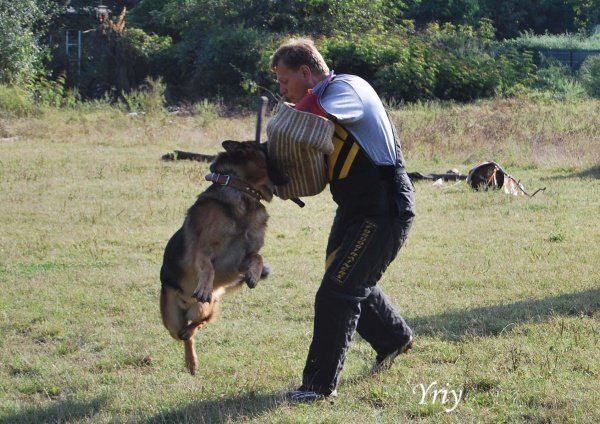 Моно в Краснодаре, фигурант Д.Скок