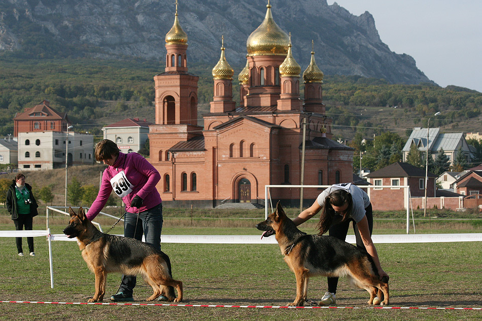 Победитель класса юниоров в МинВодах, 4 октября 2014 года. ЮСС
