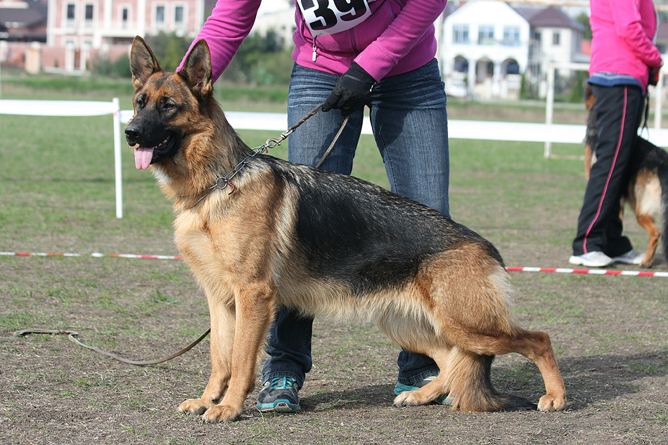 Победитель класса юниоров в МинВодах, 4 октября 2014 года. ЮСС