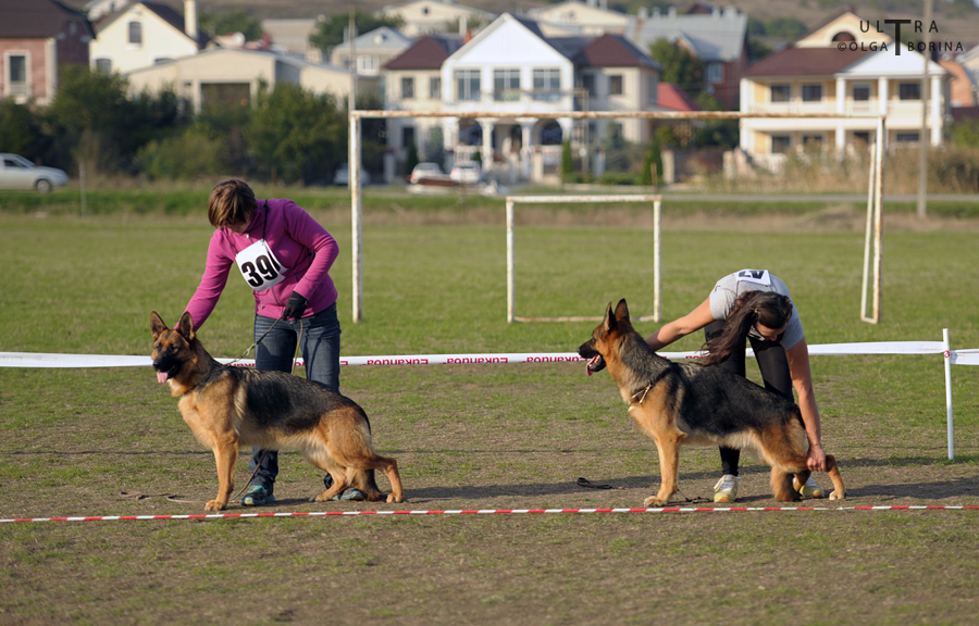 Победитель класса юниоров в МинВодах, 4 октября 2014 года. ЮСС