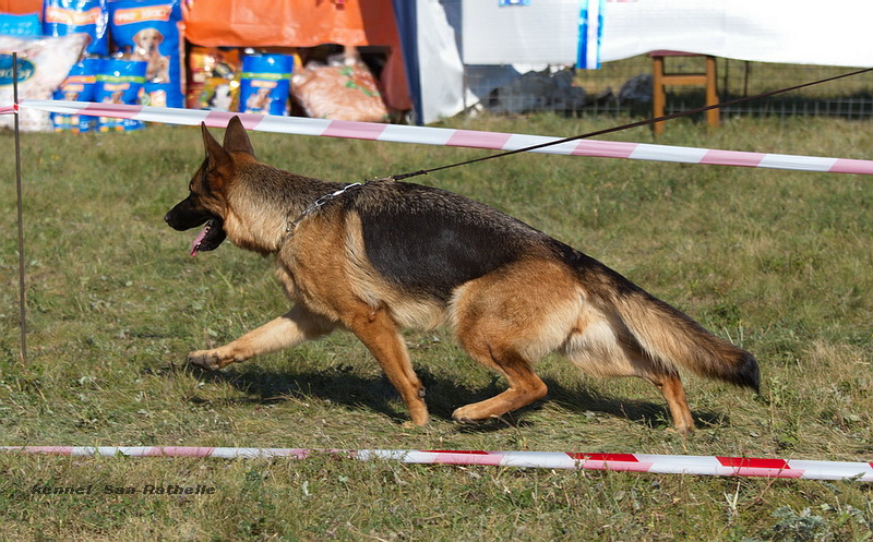 Победитель класса молодых в Мичуринске. Эксперт Г.Дулина