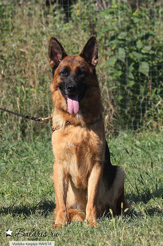 Почти два года.