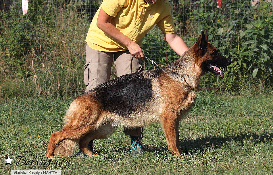 Почти два года.