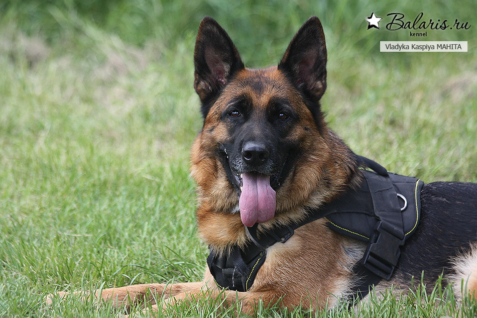 Умница моя и красавица!