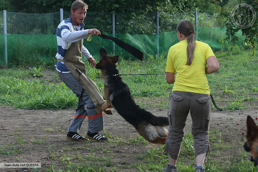 Квике 8 месяцев