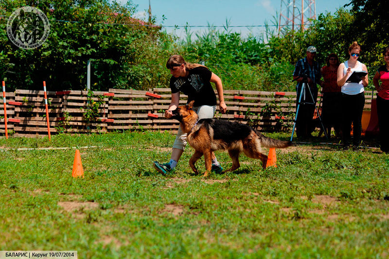 Блиц-турнир по контакту с собакой. На маршруте.