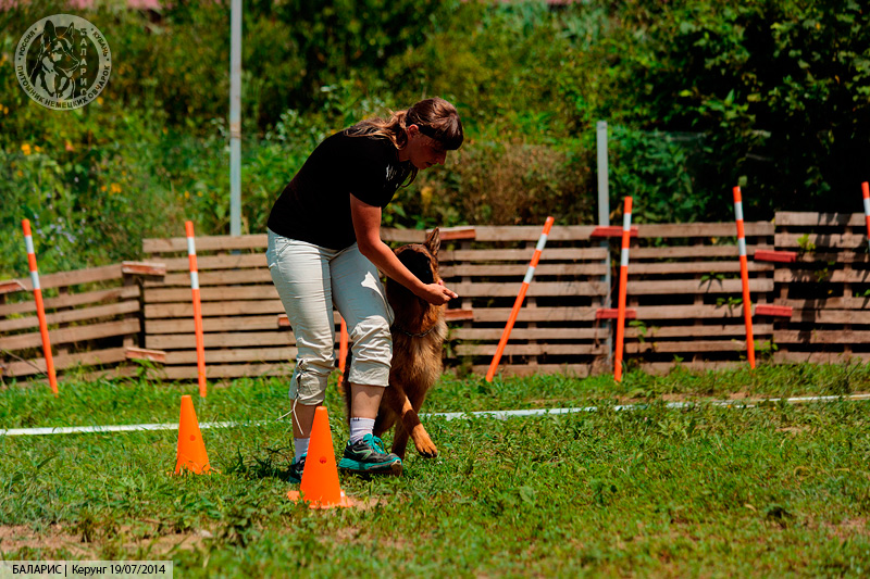 Блиц-турнир по контакту с собакой. На маршруте.