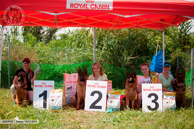 Блиц-турнир по контакту с собакой. III-е место.