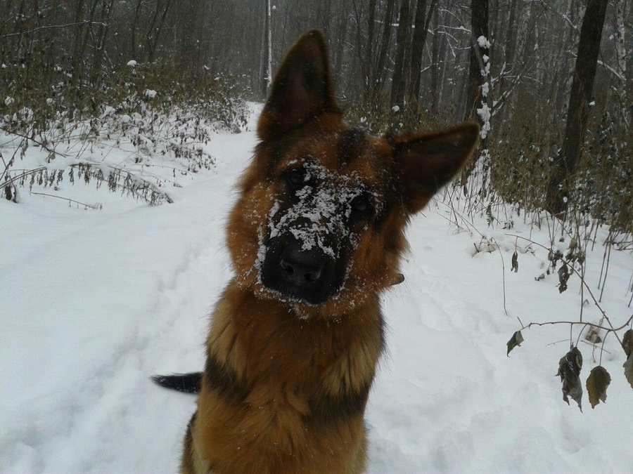 Удивлена? это Урал, Шаня)))))