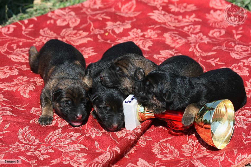 Детям всего три дня