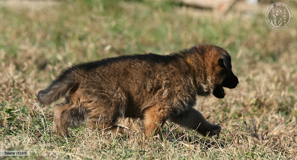 1месяц и 8 дней