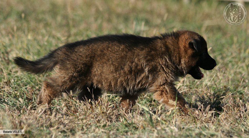 1месяц и 8 дней