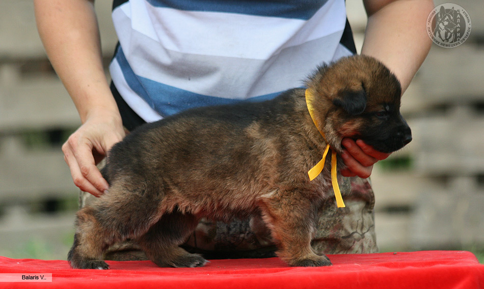В четыре недели