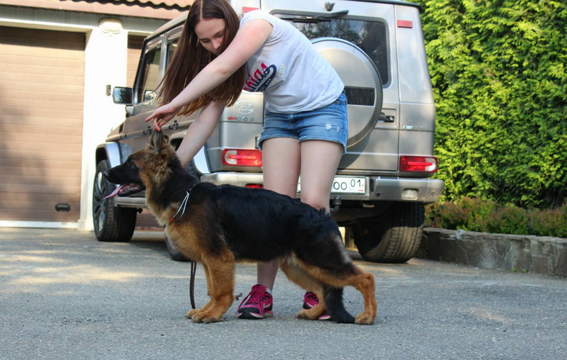 Четыре месяца.