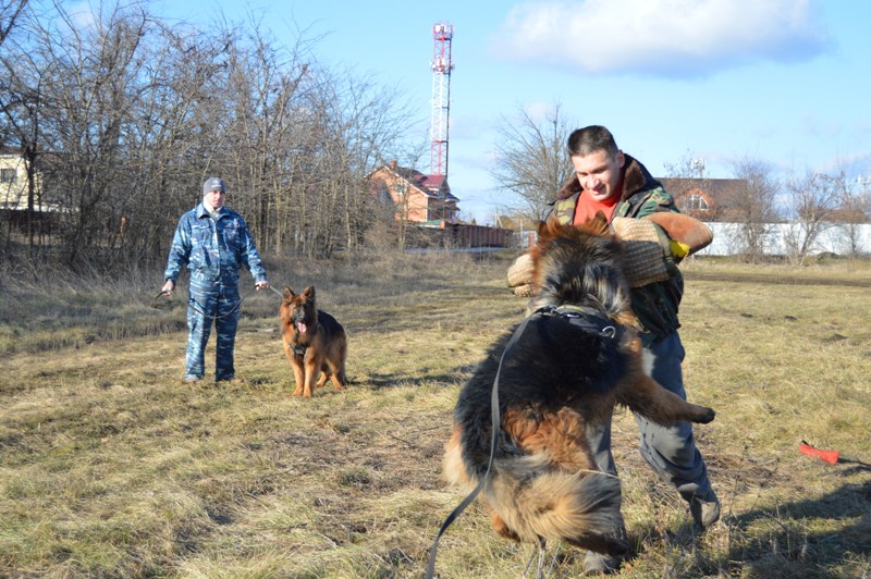 Занятия по защите, возраст 1 год.