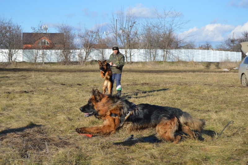 Занятия по защите, возраст 1 год.