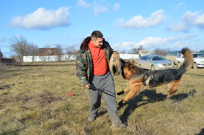 Занятия по защите, возраст 1 год.