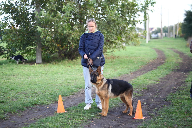 На Кинологических веселых стартах 15 октября, судья А.Симонов.
