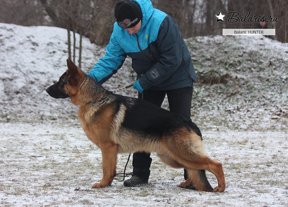 Десять месяцев.