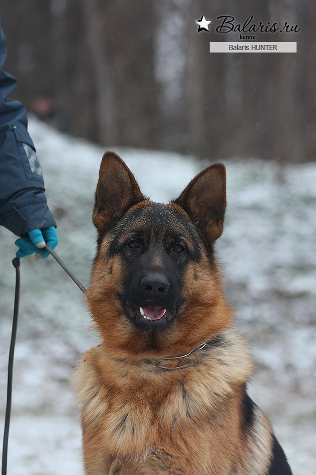 Десять месяцев.