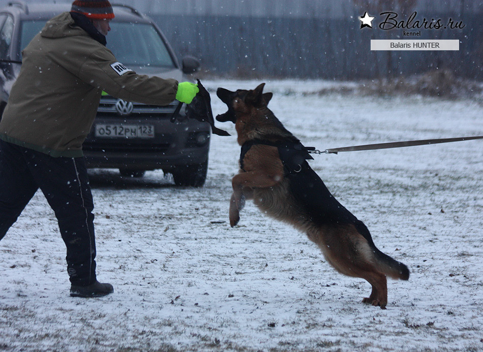Десять месяцев.