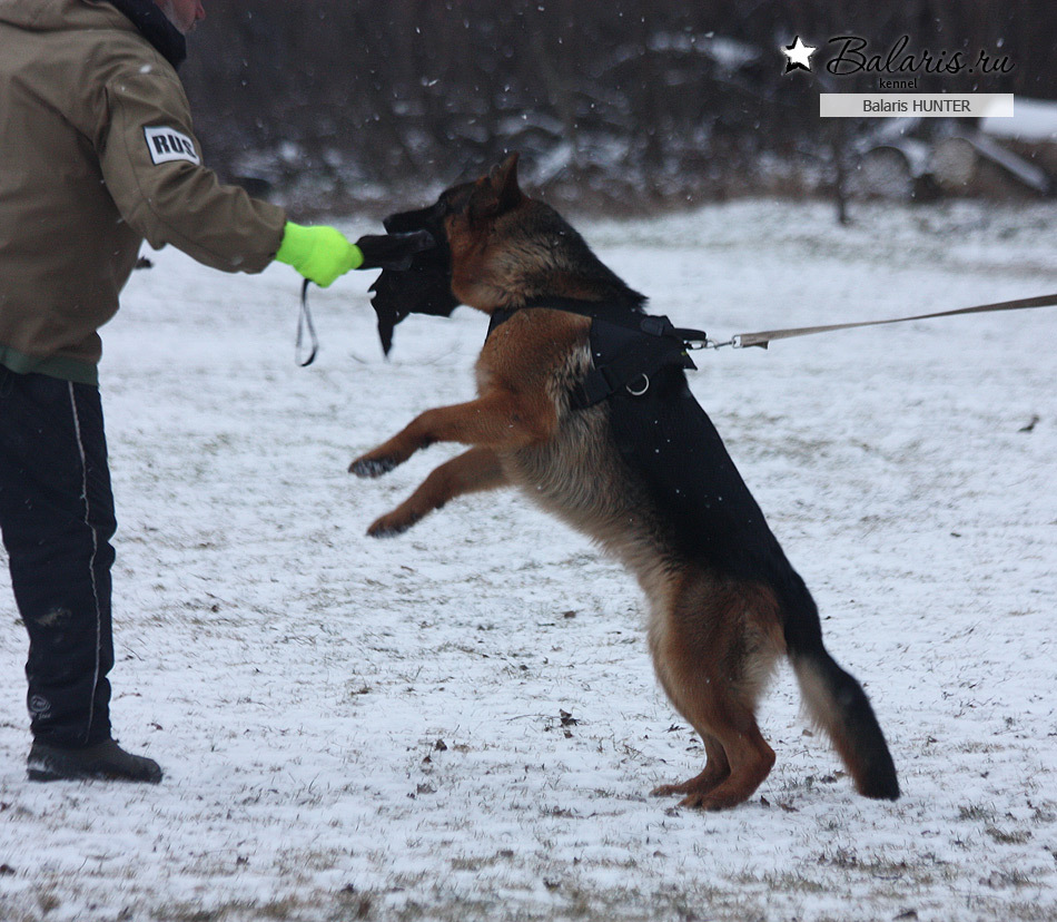 Десять месяцев.